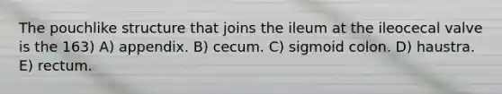 The pouchlike structure that joins the ileum at the ileocecal valve is the 163) A) appendix. B) cecum. C) sigmoid colon. D) haustra. E) rectum.