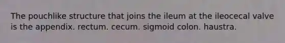 The pouchlike structure that joins the ileum at the ileocecal valve is the appendix. rectum. cecum. sigmoid colon. haustra.