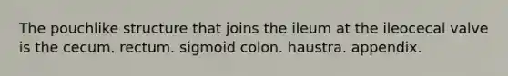 The pouchlike structure that joins the ileum at the ileocecal valve is the cecum. rectum. sigmoid colon. haustra. appendix.