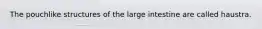 The pouchlike structures of the large intestine are called haustra.