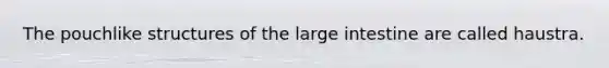 The pouchlike structures of the <a href='https://www.questionai.com/knowledge/kGQjby07OK-large-intestine' class='anchor-knowledge'>large intestine</a> are called haustra.