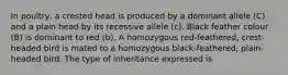 In poultry, a crested head is produced by a dominant allele (C) and a plain head by its recessive allele (c). Black feather colour (B) is dominant to red (b). A homozygous red-feathered, crest-headed bird is mated to a homozygous black-feathered, plain-headed bird. The type of inheritance expressed is