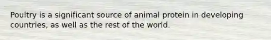 Poultry is a significant source of animal protein in developing countries, as well as the rest of the world.