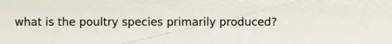what is the poultry species primarily produced?