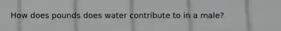 How does pounds does water contribute to in a male?