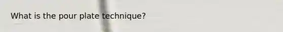 What is the pour plate technique?
