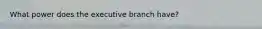 What power does the executive branch have?