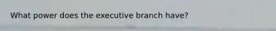 What power does the executive branch have?