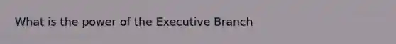 What is the power of the Executive Branch