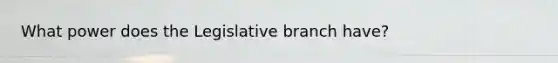 What power does the Legislative branch have?