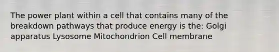 The power plant within a cell that contains many of the breakdown pathways that produce energy is the: Golgi apparatus Lysosome Mitochondrion Cell membrane