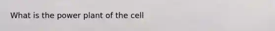 What is the power plant of the cell