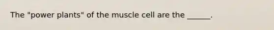 The "power plants" of the muscle cell are the ______.