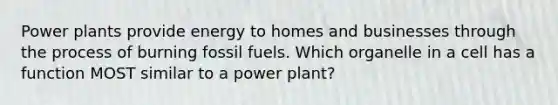 Power plants provide energy to homes and businesses through the process of burning fossil fuels. Which organelle in a cell has a function MOST similar to a power plant?