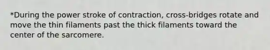*During the power stroke of contraction, cross-bridges rotate and move the thin filaments past the thick filaments toward the center of the sarcomere.