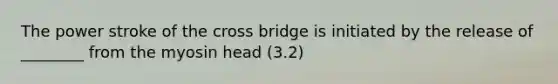 The power stroke of the cross bridge is initiated by the release of ________ from the myosin head (3.2)