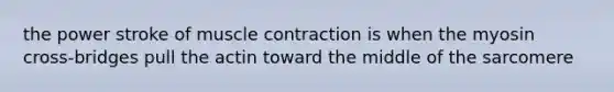 the power stroke of muscle contraction is when the myosin cross-bridges pull the actin toward the middle of the sarcomere