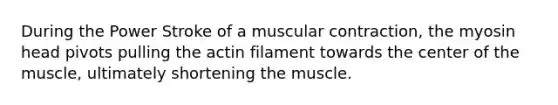 During the Power Stroke of a muscular contraction, the myosin head pivots pulling the actin filament towards the center of the muscle, ultimately shortening the muscle.