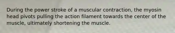 During the power stroke of a muscular contraction, the myosin head pivots pulling the action filament towards the center of the muscle, ultimately shortening the muscle.