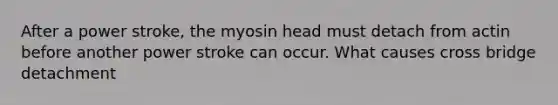 After a power stroke, the myosin head must detach from actin before another power stroke can occur. What causes cross bridge detachment