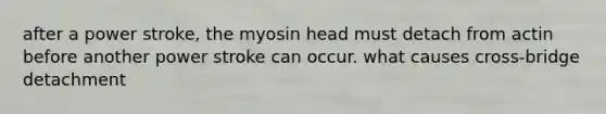 after a power stroke, the myosin head must detach from actin before another power stroke can occur. what causes cross-bridge detachment