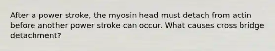 After a power stroke, the myosin head must detach from actin before another power stroke can occur. What causes cross bridge detachment?