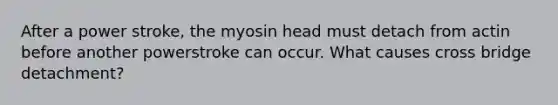 After a power stroke, the myosin head must detach from actin before another powerstroke can occur. What causes cross bridge detachment?