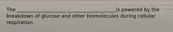 The ____________________ ____________________is powered by the breakdown of glucose and other biomolecules during cellular respiration.