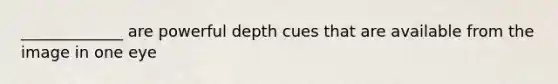 _____________ are powerful depth cues that are available from the image in one eye