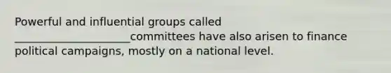 Powerful and influential groups called _____________________committees have also arisen to finance political campaigns, mostly on a national level.