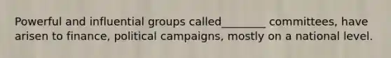 Powerful and influential groups called________ committees, have arisen to finance, political campaigns, mostly on a national level.