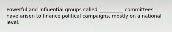 Powerful and influential groups called __________ committees have arisen to finance political campaigns, mostly on a national level.