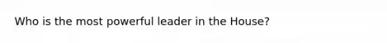 Who is the most powerful leader in the House?