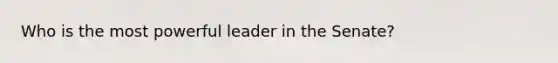 Who is the most powerful leader in the Senate?
