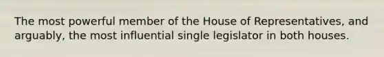 The most powerful member of the House of Representatives, and arguably, the most influential single legislator in both houses.