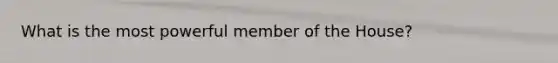 What is the most powerful member of the House?