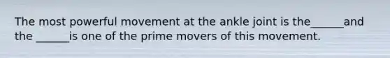 The most powerful movement at the ankle joint is the______and the ______is one of the prime movers of this movement.