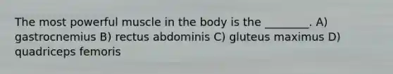 The most powerful muscle in the body is the ________. A) gastrocnemius B) rectus abdominis C) gluteus maximus D) quadriceps femoris