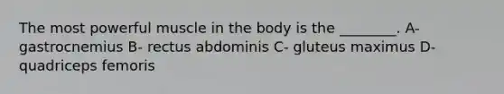 The most powerful muscle in the body is the ________. A- gastrocnemius B- rectus abdominis C- gluteus maximus D- quadriceps femoris