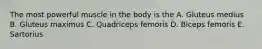 The most powerful muscle in the body is the A. Gluteus medius B. Gluteus maximus C. Quadriceps femoris D. Biceps femoris E. Sartorius