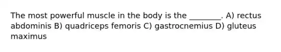The most powerful muscle in the body is the ________. A) rectus abdominis B) quadriceps femoris C) gastrocnemius D) gluteus maximus