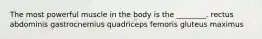 The most powerful muscle in the body is the ________. rectus abdominis gastrocnemius quadriceps femoris gluteus maximus