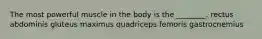 The most powerful muscle in the body is the ________. rectus abdominis gluteus maximus quadriceps femoris gastrocnemius