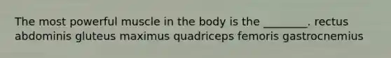 The most powerful muscle in the body is the ________. rectus abdominis gluteus maximus quadriceps femoris gastrocnemius