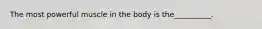 The most powerful muscle in the body is the__________.