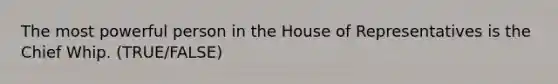 The most powerful person in the House of Representatives is the Chief Whip. (TRUE/FALSE)