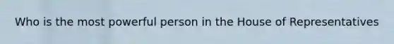 Who is the most powerful person in the House of Representatives