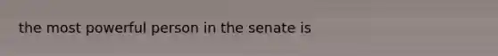 the most powerful person in the senate is