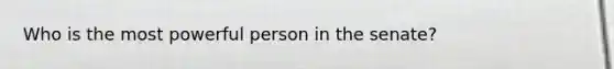 Who is the most powerful person in the senate?