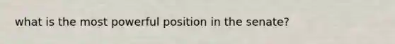 what is the most powerful position in the senate?